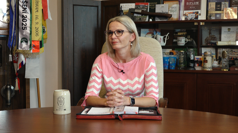 Tanec u tyče mi dělá radost, na sexuální pózy nejsem, prozrazuje jednička ANO v Ústeckém kraji