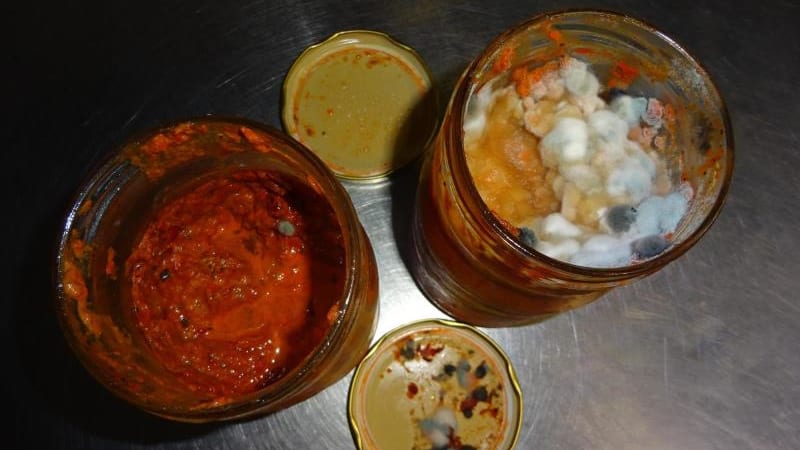 Páchnoucí maso, plesnivé knedlíky a játra plná hmyzu. Inspekce varuje před oblíbenou restaurací