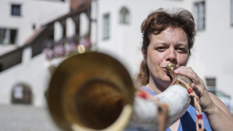 Strakonické muzeum obohatilo své sbírky. Zakoupilo textilní štočky nebo hudební nástroje