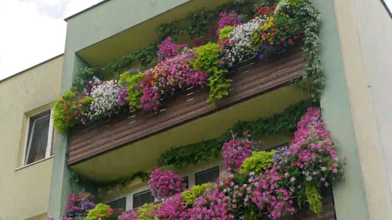 Paneláky jako z pohádky. V Havířově rozkvetly balkony, sousedská iniciativa uchvátila Česko