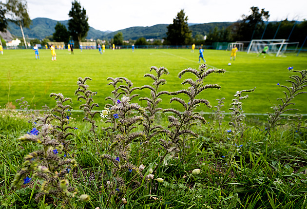 Zápas nižší soutěže rozhodčí přerušil kvůli bitce diváků. Kameramanovi vlepili facku