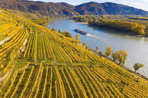 Tady se opravdu nespěchá. Rakouskému údolí Wachau vládne klid, víno a Dunaj