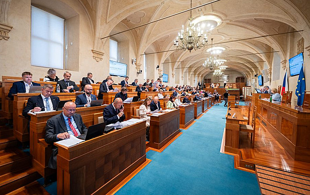 Senátoři ODS i ANO podpoří Bartoně a Smolka do Ústavního soudu