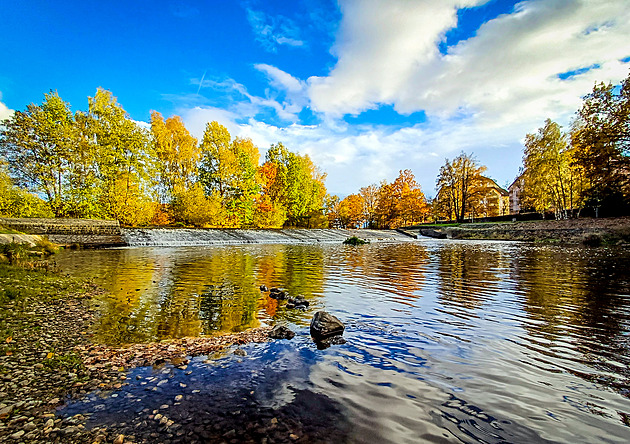 OBRAZEM: Příroda a slunečné dny barví krajinu jižních Čech do žluta