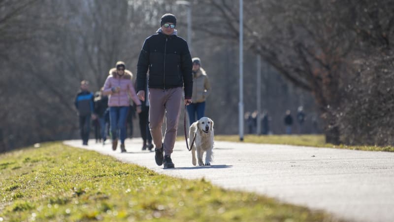 Krásné obrázky, smutná realita: Jihlava poráží i Prahu 8. Expertce vadí „zabitý“ potenciál měst