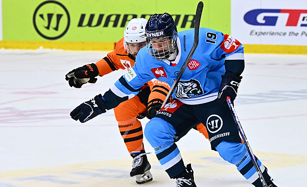Roste Tygrům nový Galvas? Kachlíř má učitele z NHL, chválu pouští z hlavy