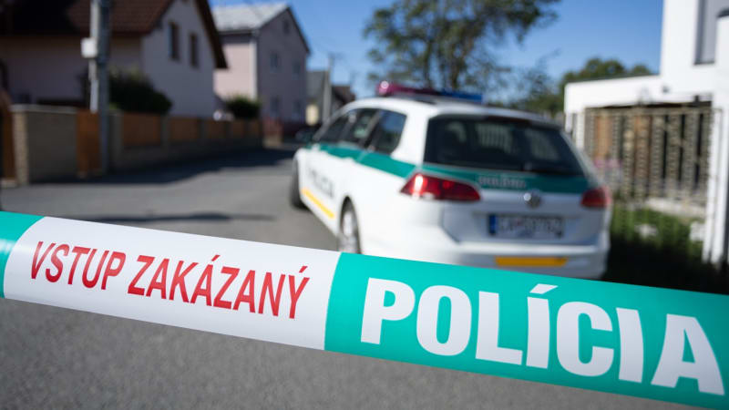 Nové detaily útoku na základní škole: Hrdinkou je ředitelka, jednala mimořádně odvážně