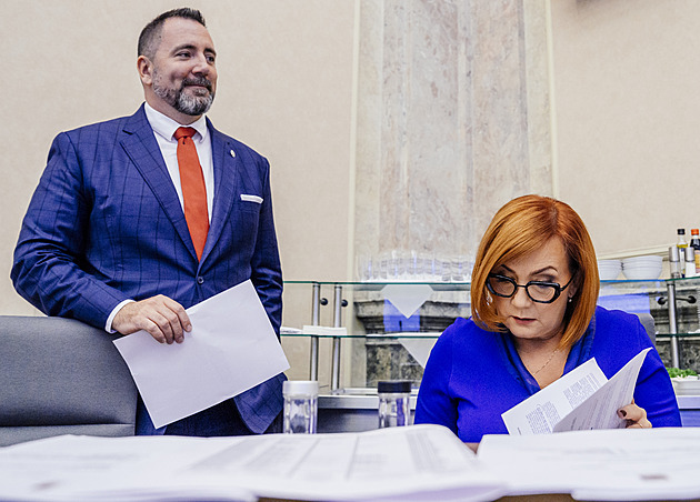 Senátoři se obrátili na soud kvůli regulaci cen paliv. Nezodpovědné, reaguje ministerstvo